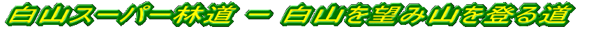 白川スーパー林道